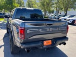 2019 F-150 Thumbnail 8