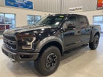 2019 F-150 Thumbnail 1