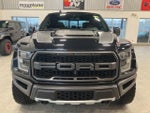 2019 F-150 Thumbnail 2