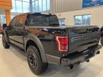 2019 F-150 Thumbnail 7