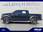 2019 F-150 Thumbnail 2