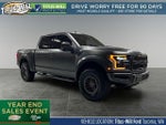 2019 F-150 Thumbnail 1