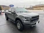 2020 F-150 Thumbnail 8