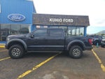 2021 F-150 Thumbnail 2
