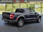 2023 F-150 Thumbnail 5