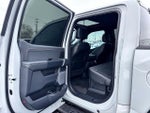 2024 F-150 Thumbnail 12
