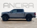 2024 F-150 Thumbnail 8