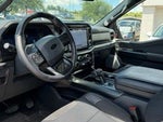 2025 F-150 Thumbnail 3