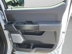 2025 F-150 Thumbnail 13