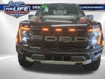 2025 F-150 Thumbnail 7