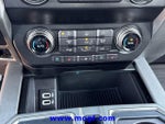 2019 F-150 Thumbnail 6