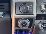 2019 F-150 Thumbnail 8