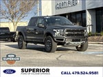 2019 F-150 Thumbnail 1