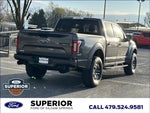 2019 F-150 Thumbnail 3