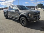 2021 F-150 Thumbnail 2