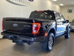 2023 F-150 Thumbnail 7