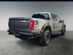 2024 F-150 Thumbnail 9