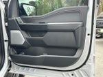2025 F-150 Thumbnail 14