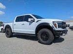 2025 F-150 Thumbnail 2