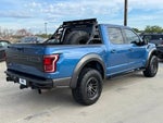2019 F-150 Thumbnail 8