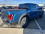2019 F-150 Thumbnail 4