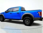 2019 F-150 Thumbnail 7