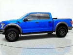 2019 F-150 Thumbnail 8