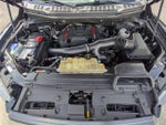 2020 F-150 Thumbnail 5