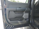 2023 F-150 Thumbnail 11
