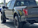 2024 F-150 Thumbnail 8