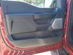 2024 F-150 Thumbnail 18