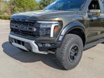 2024 F-150 Thumbnail 10