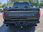 2025 F-150 Thumbnail 6