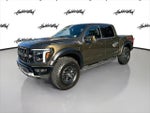 2025 F-150 Thumbnail 1