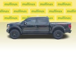 2025 F-150 Thumbnail 10