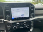 2025 F-150 Thumbnail 17