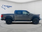 2025 F-150 Thumbnail 4