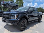 2025 F-150 Thumbnail 8