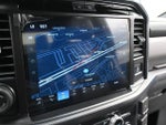 2025 F-150 Thumbnail 17