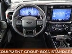 2025 F-150 Thumbnail 18