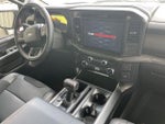 2025 F-150 Thumbnail 6