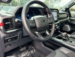 2025 F-150 Thumbnail 30