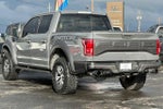 2018 F-150 Thumbnail 6