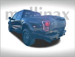 2019 F-150 Thumbnail 5