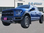 2019 F-150 Thumbnail 1
