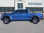 2019 F-150 Thumbnail 8