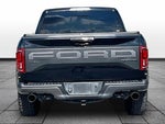 2019 F-150 Thumbnail 4