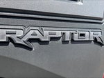 2019 F-150 Thumbnail 8