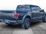 2019 F-150 Thumbnail 12