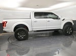 2019 F-150 Thumbnail 8